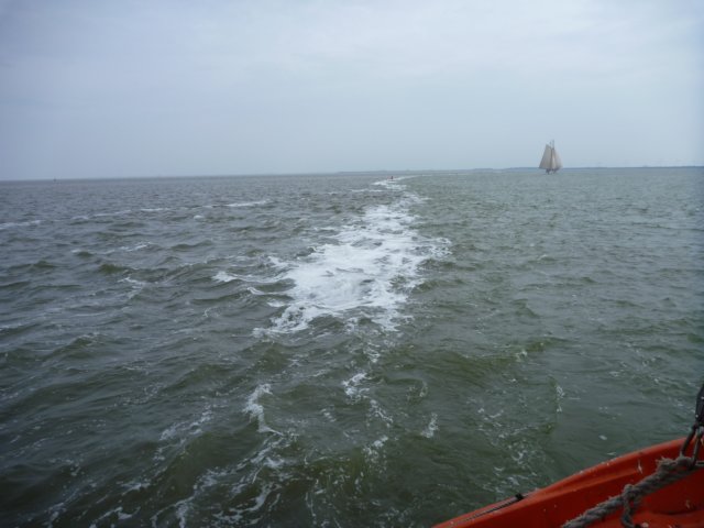 2011 Zeilen033.jpg